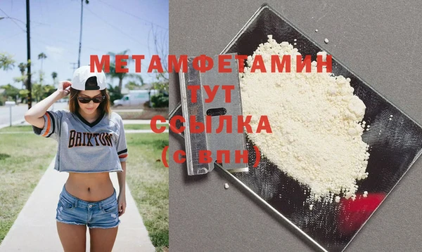 молекула духа Богданович