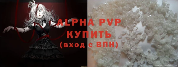 гашик Козельск
