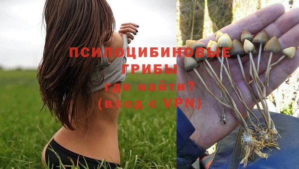 метамфетамин Бородино