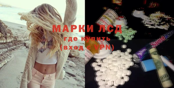 молекула духа Богданович