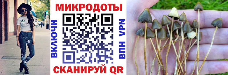 Галлюциногенные грибы ЛСД ОМГ ОМГ зеркало Дигора